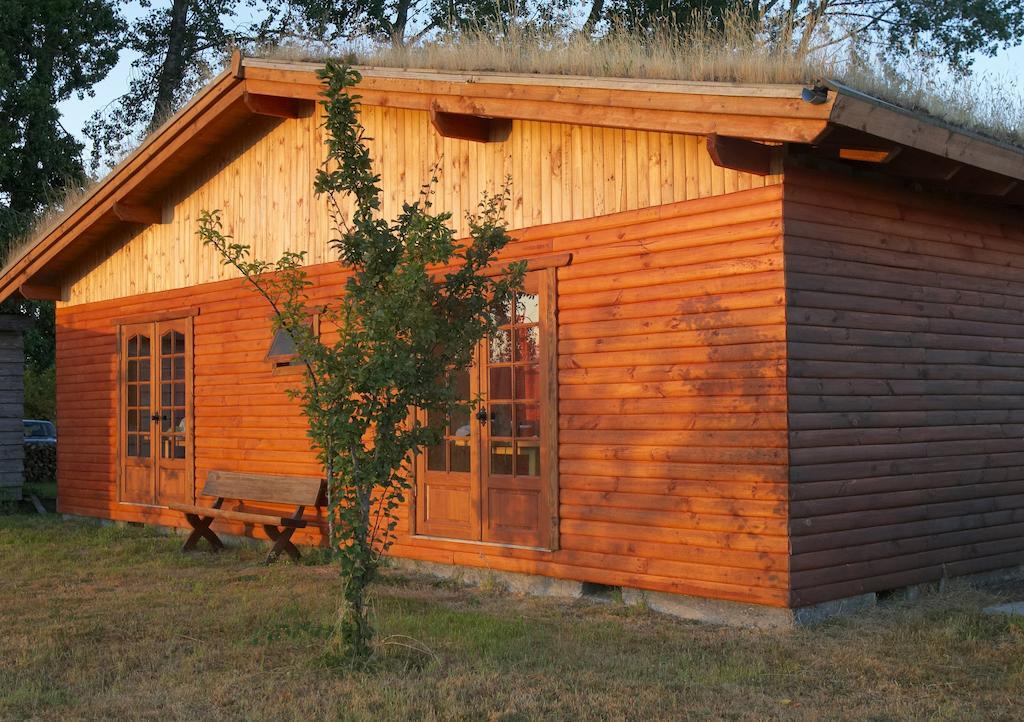 Hostal Zapato Amarillo Puerto Octay Exterior foto